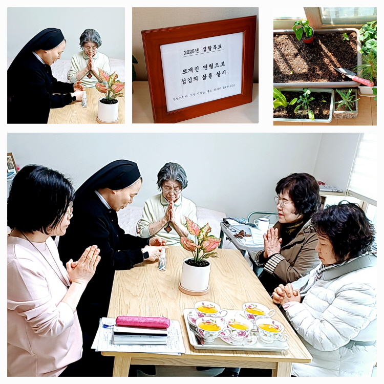 KakaoTalk_20250401_112732918.jpg