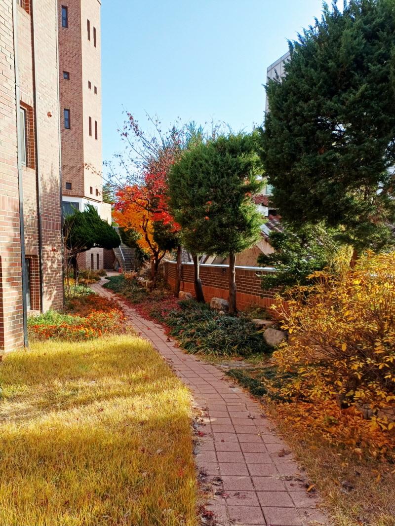 KakaoTalk_20251202_132535426.jpg