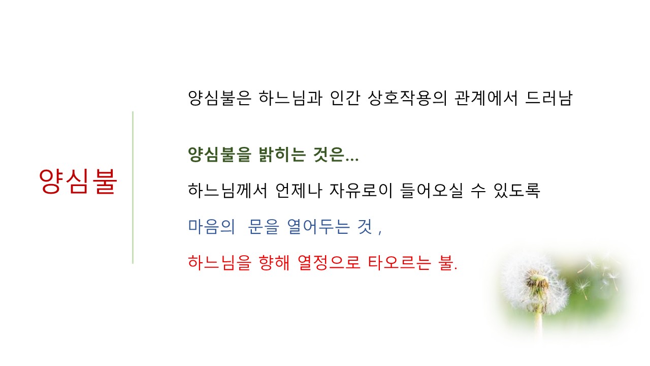 슬라이드26.JPG