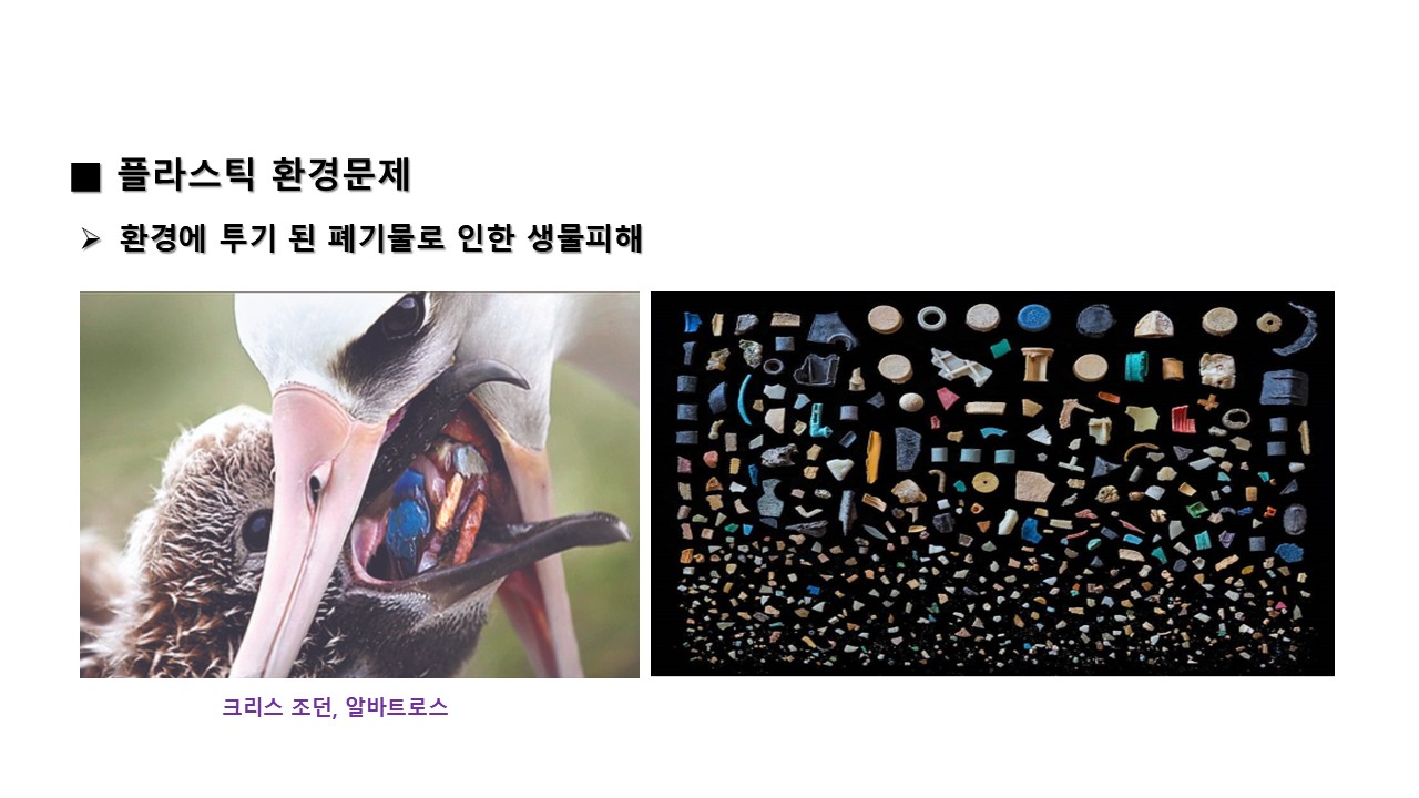 슬라이드17.JPG