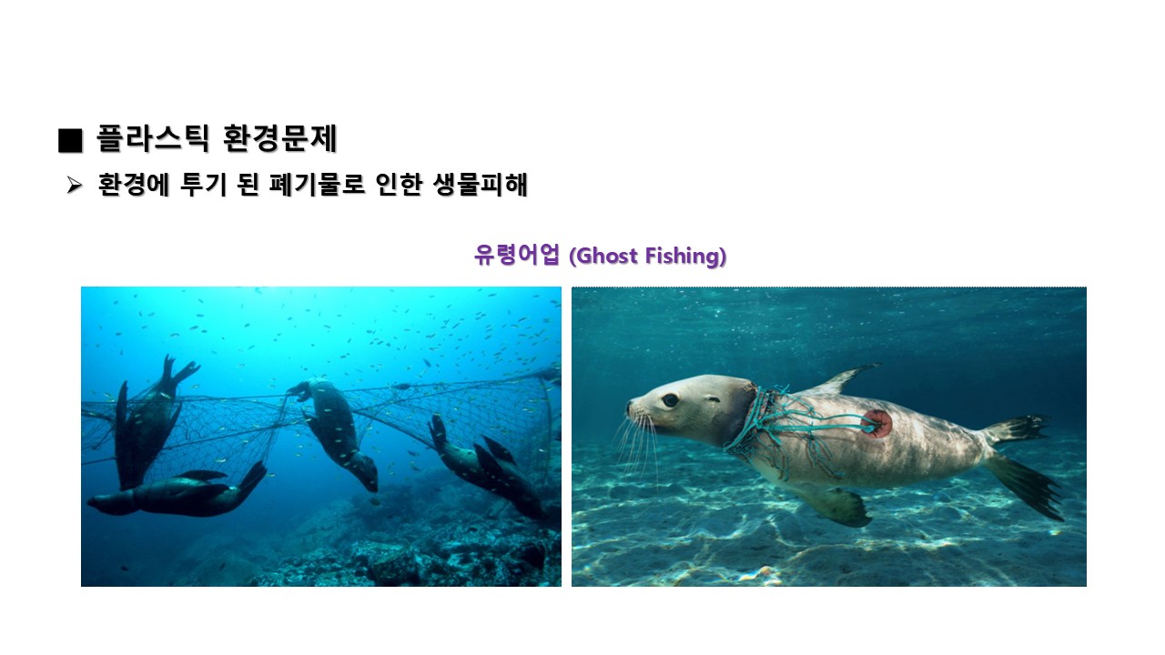 슬라이드19.JPG