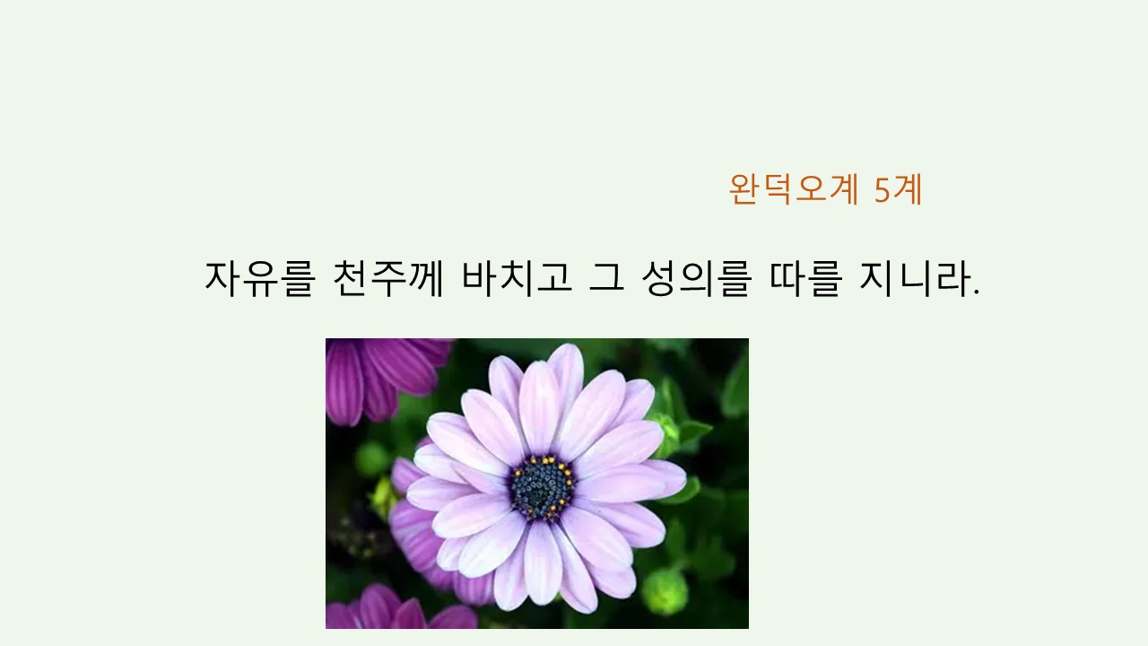 슬라이드3.JPG