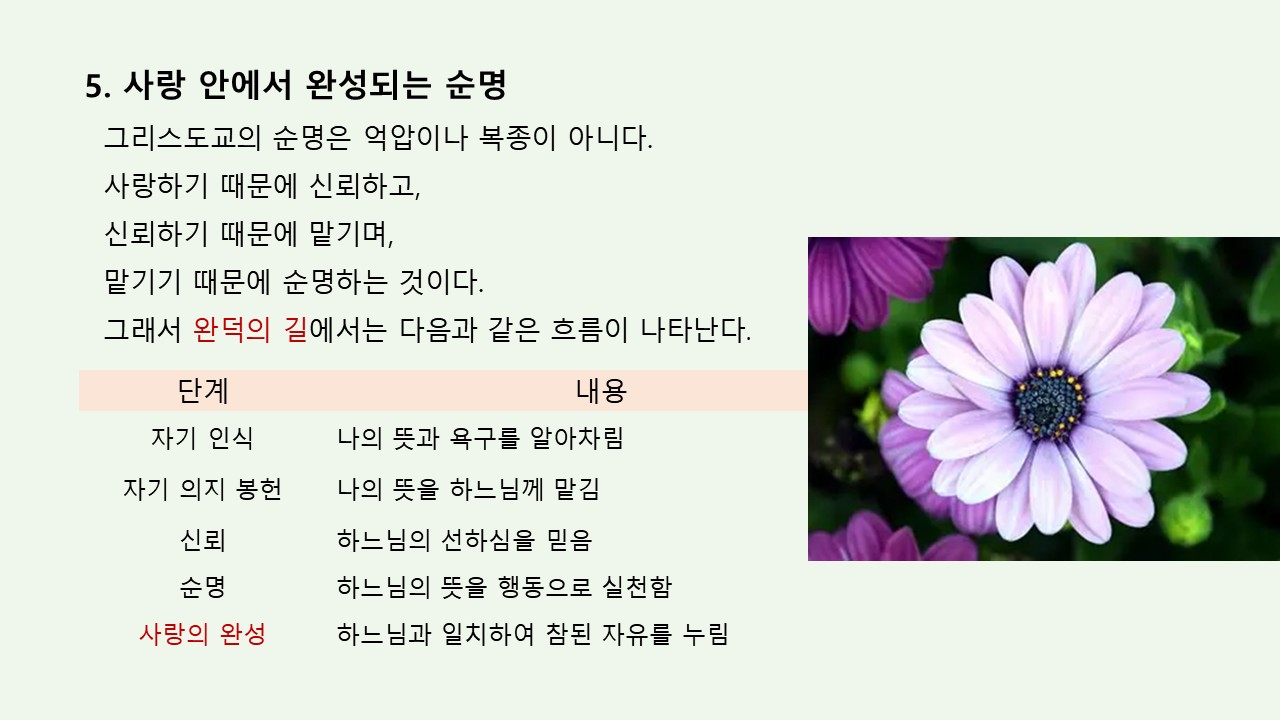 슬라이드18.JPG