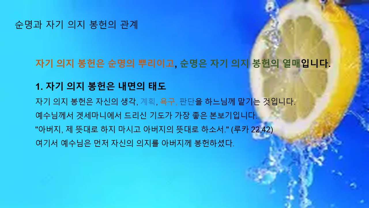 슬라이드15.JPG